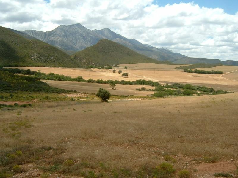 0 Bedroom Property for Sale in De Rust Western Cape